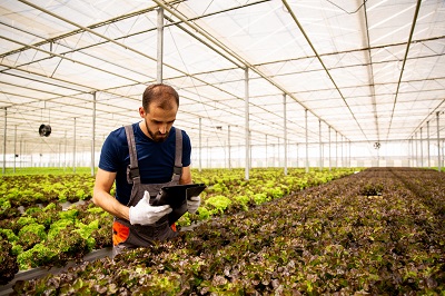 Advanced Diploma in Agricultural Science