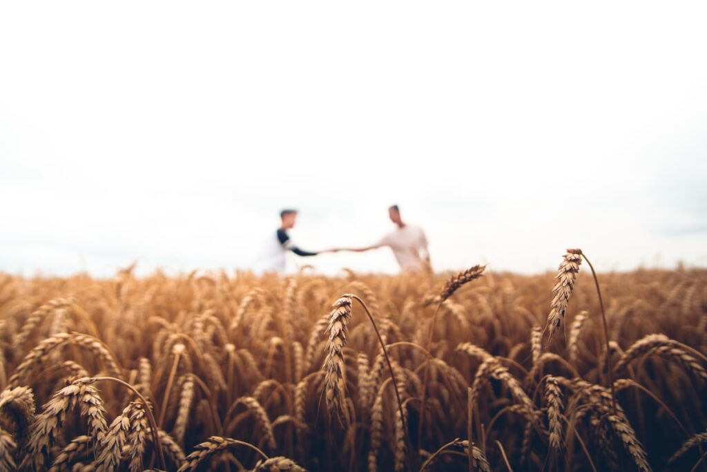 Lush sustainable agriculture field with diverse crops growing in rows
