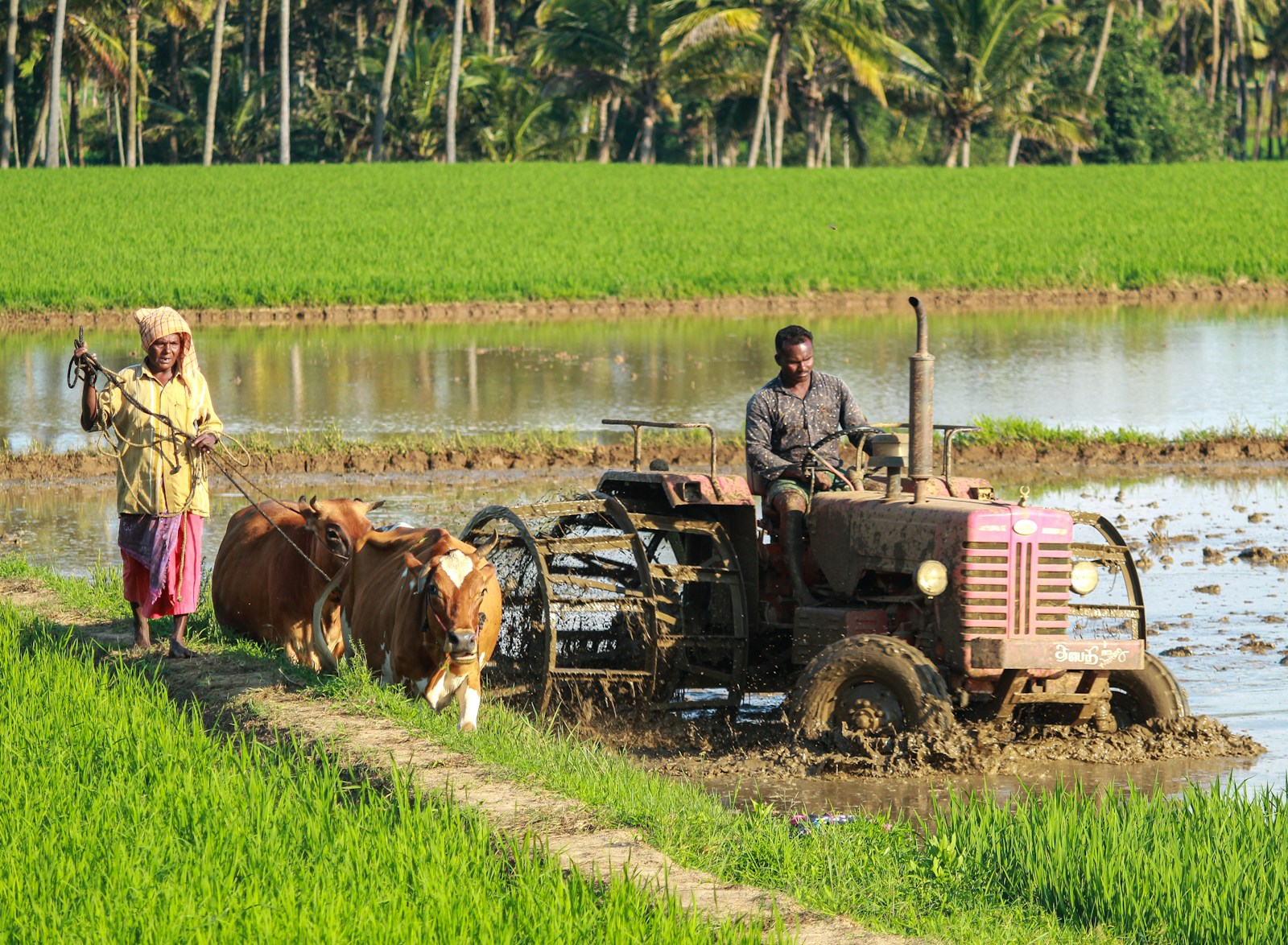 Students learning agriculture and agritech at Agritech Institute Academy