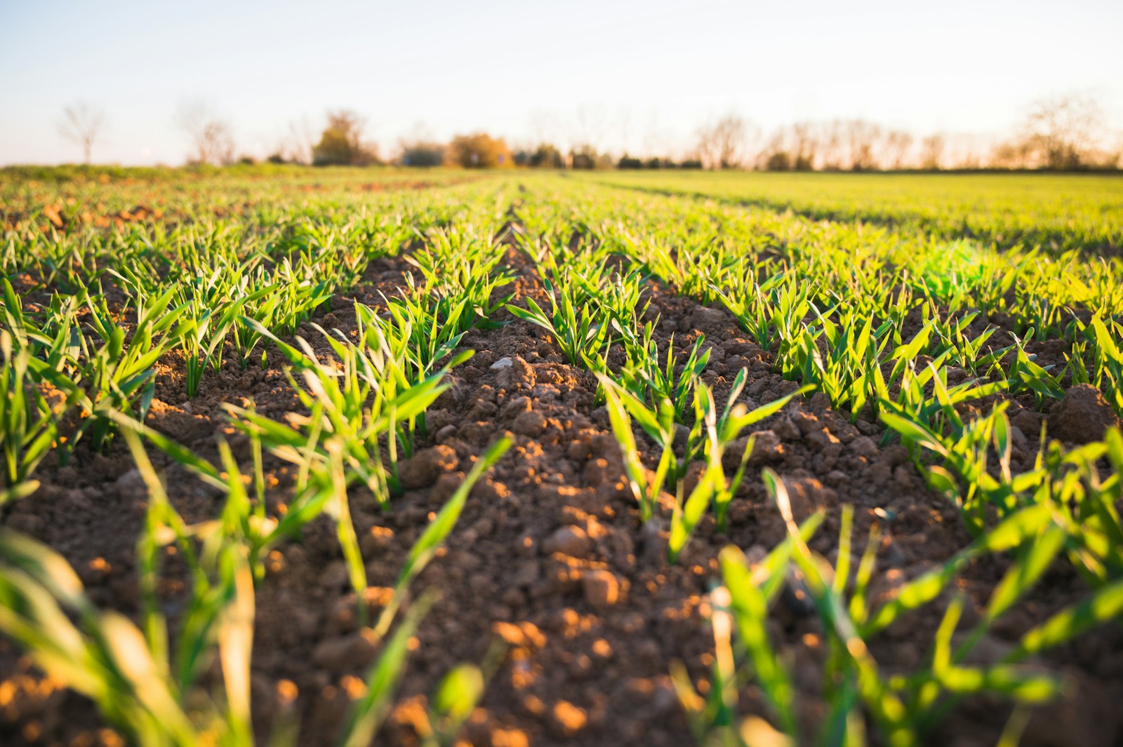 Agricultural drone technology representing SkillsUp fast-track AgriTech learning
